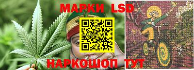 эйфоретик Можга