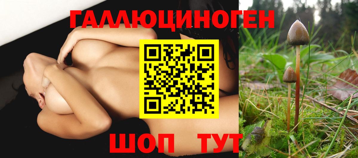 Псилоцибиновые грибы GOLDEN TEACHER Фрязино