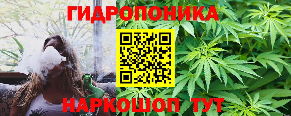 МАРИХУАНА VHQ  Марихуана Bruce Banner  Вход с VPN  МАРИХУАНА сатива  Фрязино  Конопля гибрид 